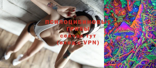 трава Зеленодольск