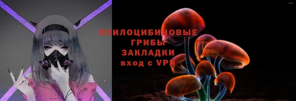 молекула духа Инсар
